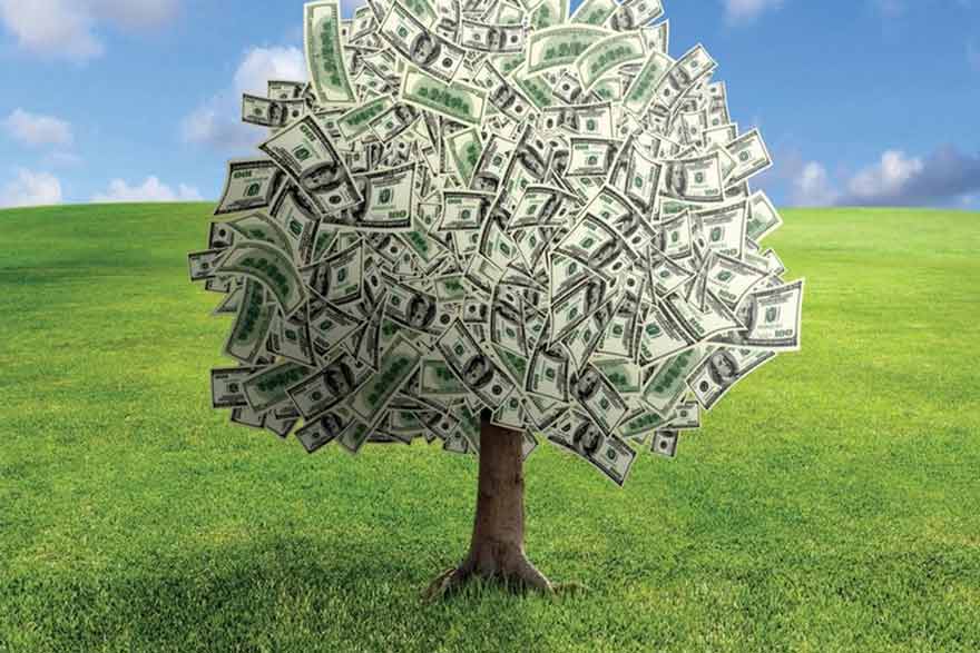 moneytree5